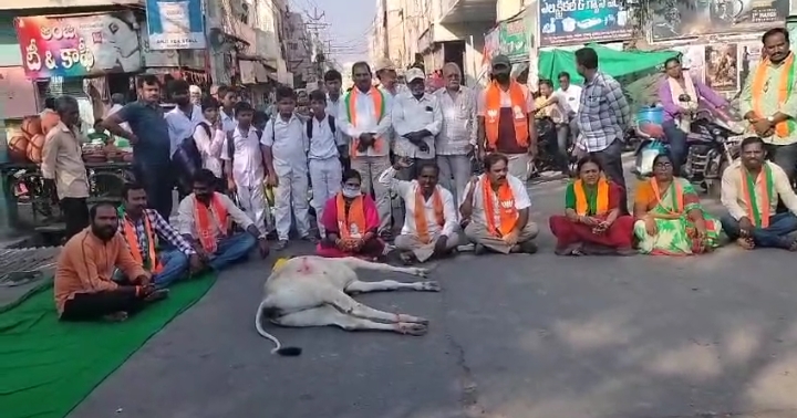 కుక్కల దాడిలో లేగదూడ మృతి