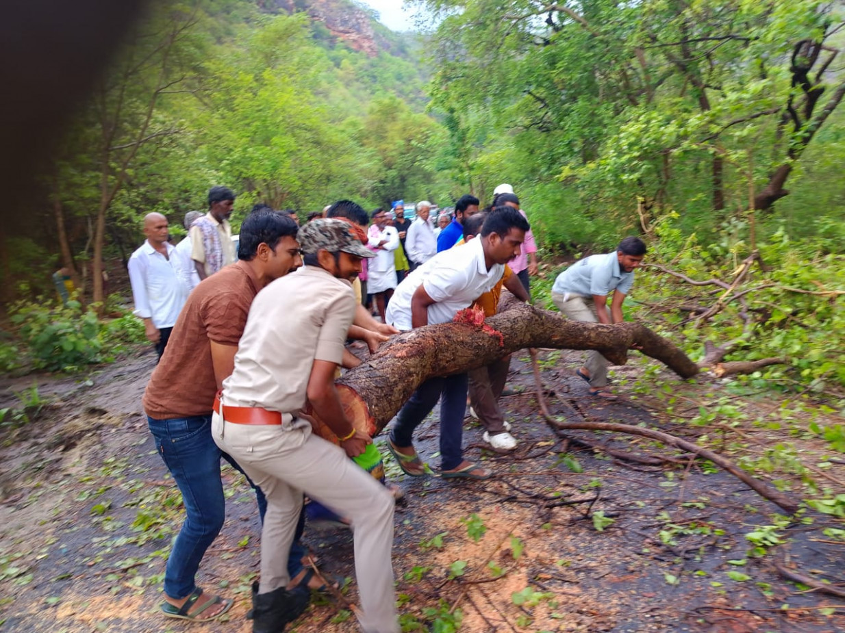 నెమలి గుండంలో భారీ వర్షం - నేలకొరిగిన వృక్షాలు